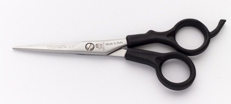 ICE Profesjonalne nożyczki fryzjerskie 5,5 Inox Accademy Ergo Line, EAN 8003099648100